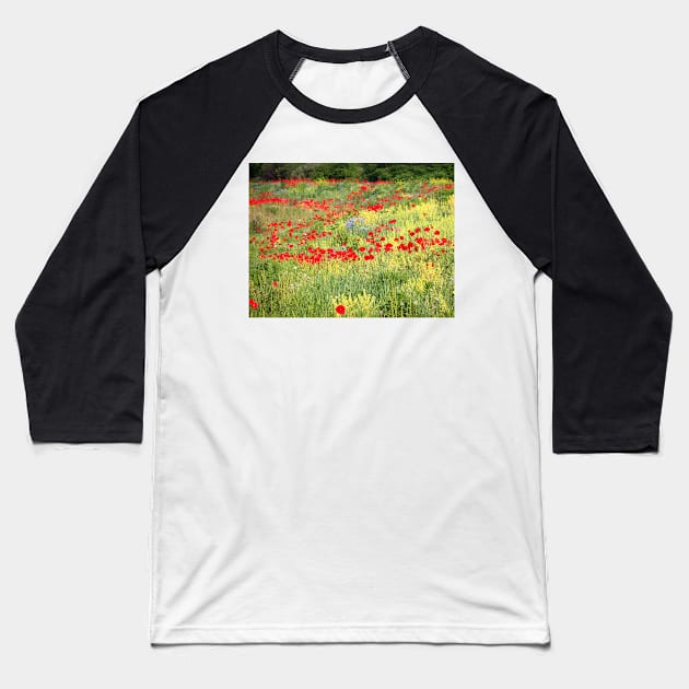 Roadside Glory Baseball T-Shirt by bgaynor